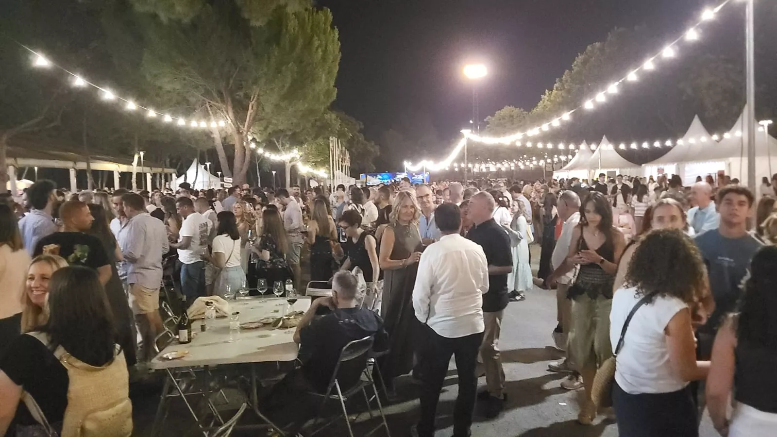 Muestra del Festival Vino Somontano en Barbastro