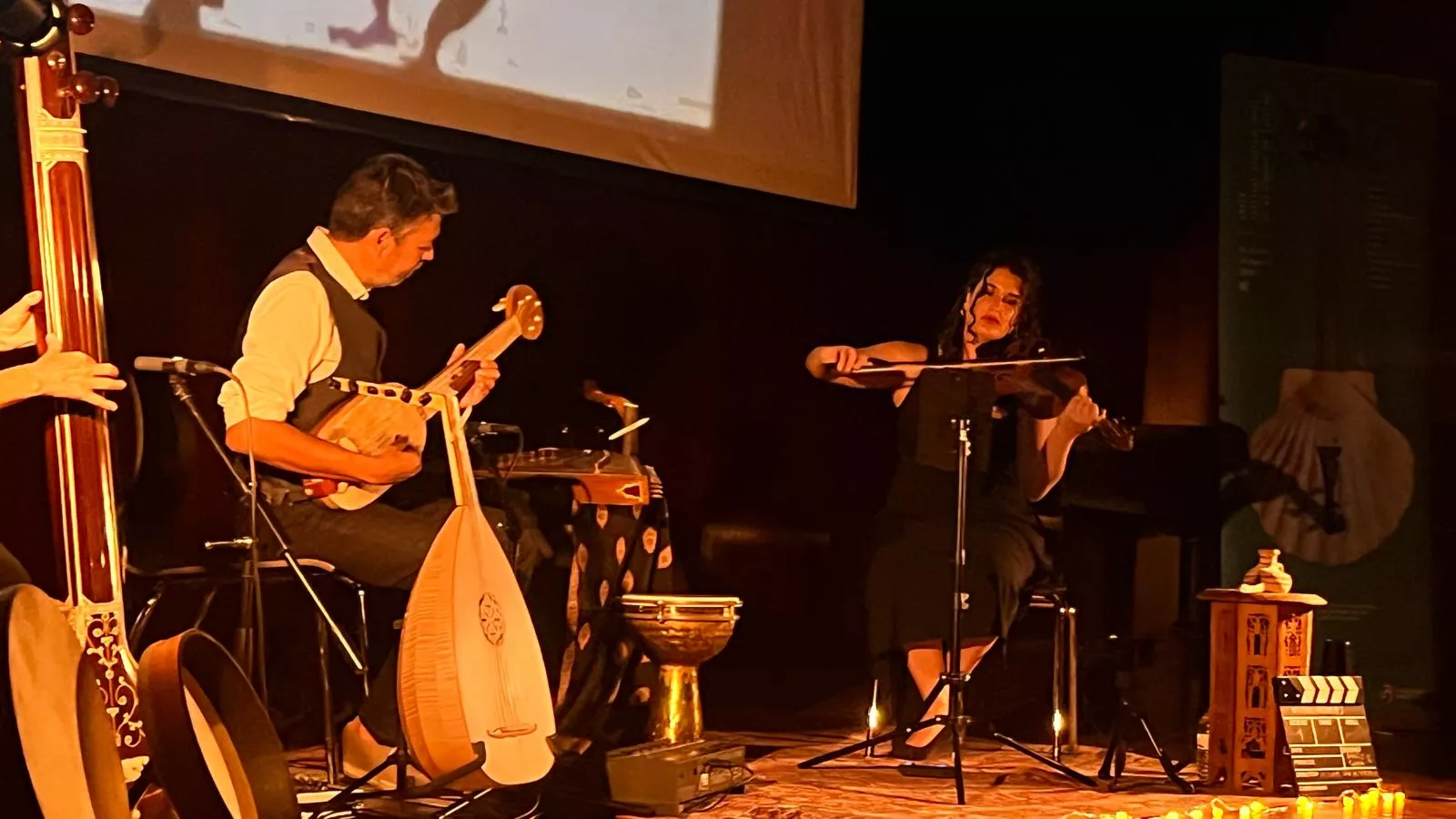 Espectáculo Musicinemas en el XXXIV Festival Camino de Santiago. Foto Mercedes Manterola