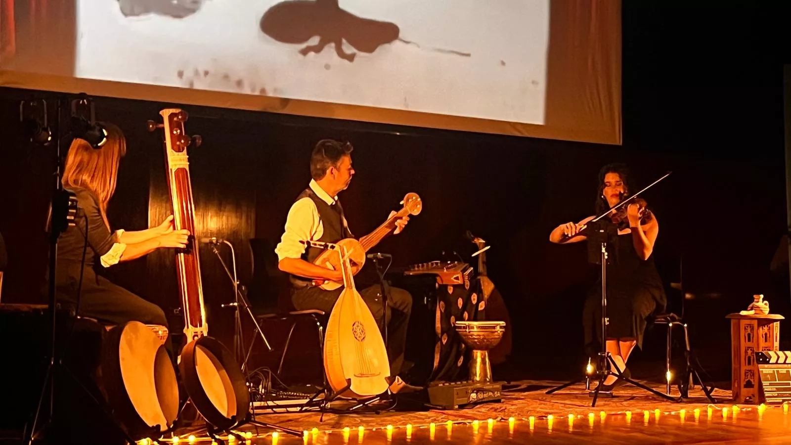 Espectáculo Musicinemas en el XXXIV Festival Camino de Santiago. Foto Mercedes Manterola