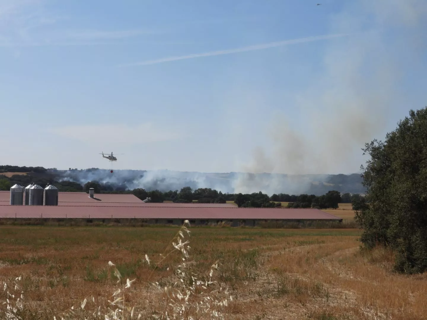 Incendio en Siétamo.