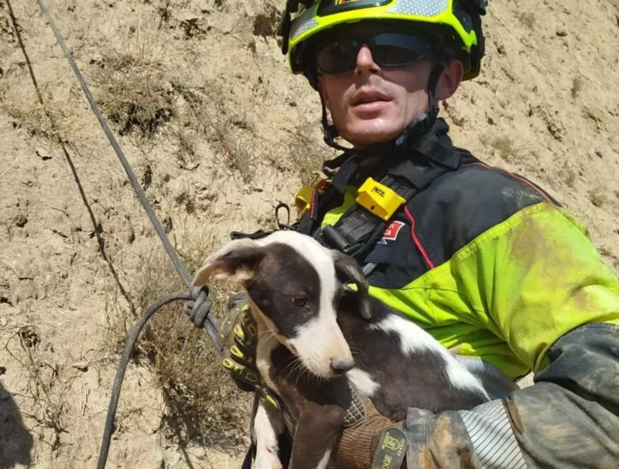 Rescatado un perro enriscado a 40 metros de altura en las Ripas de Alcolea.