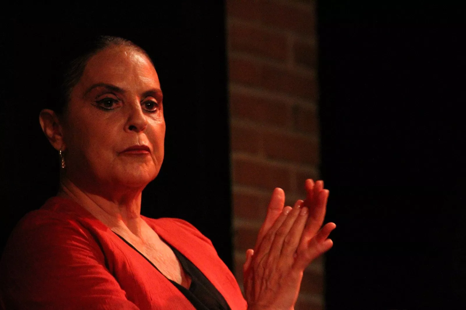 La compañía Antonio Gades en el Corral de Comedias de Robres. Foto Carlos Neofato