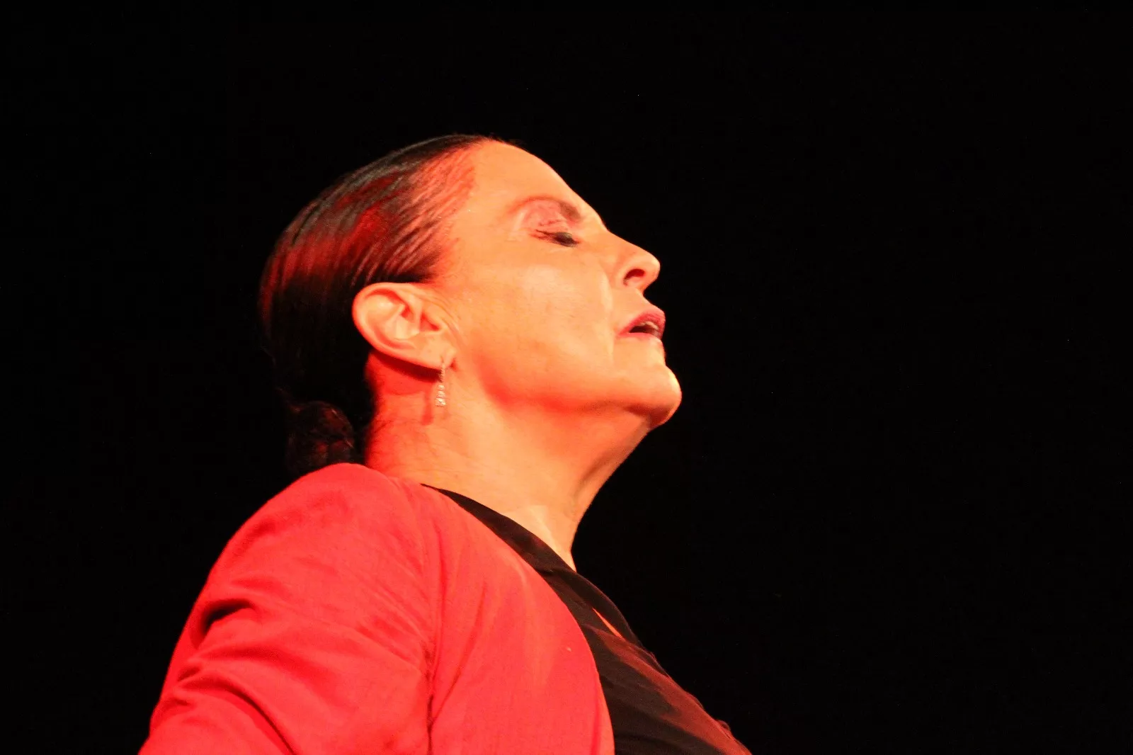 La compañía Antonio Gades en el Corral de Comedias de Robres. Foto Carlos Neofato