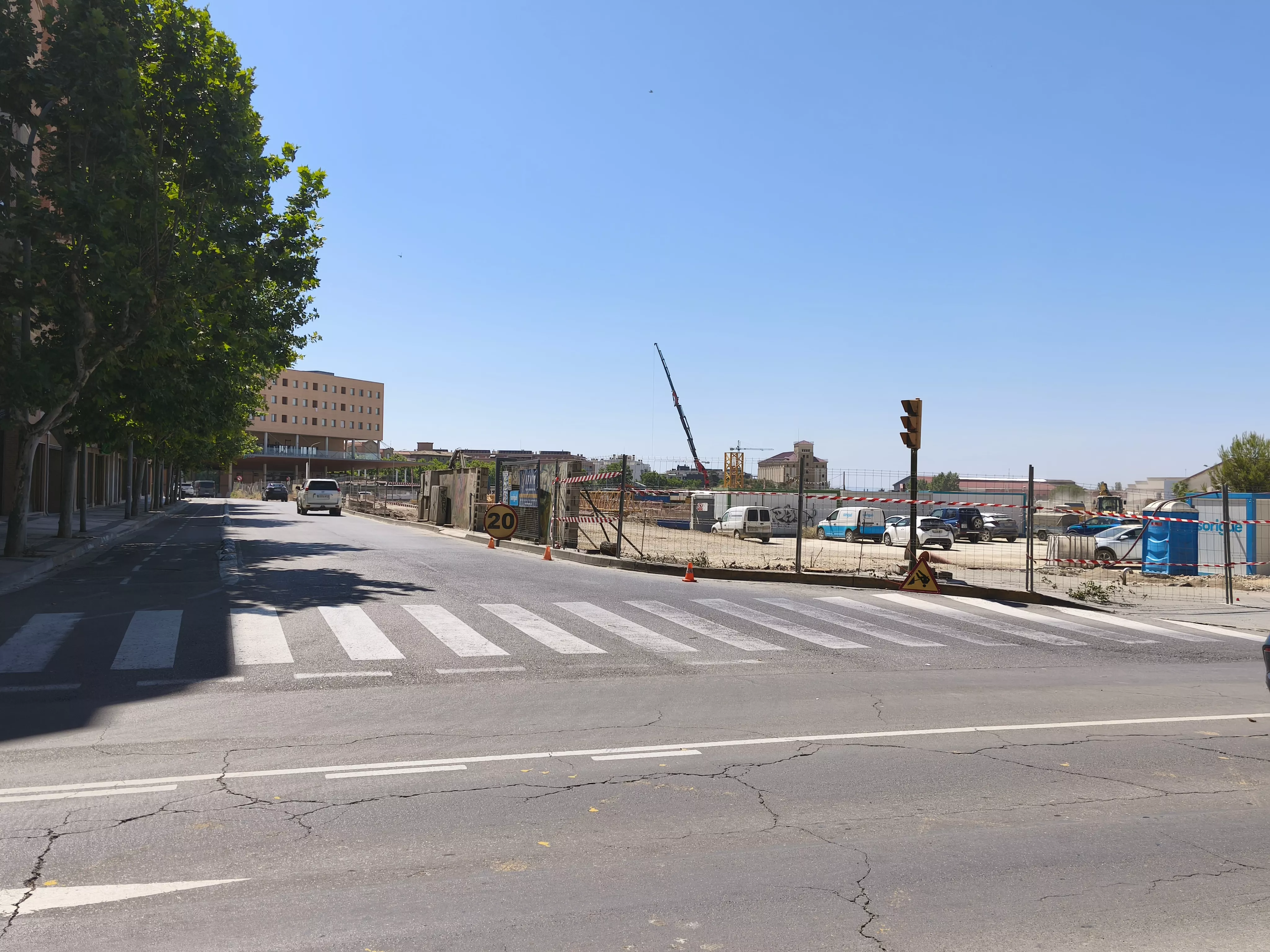 Verdes Equo denuncia la tala de arbolado en la calle José Gil Cávez.