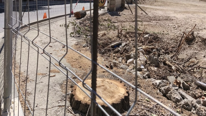 1000075041 (002) 1000075041 (002)