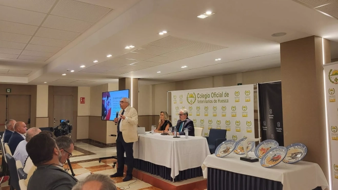 WhatsApp Image 2025 08 05 at 22.10.06 WhatsApp Image 2025 08 05 at 22.10.06