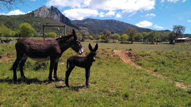 14. Aldea Puy de Cinca 14. Aldea Puy de Cinca