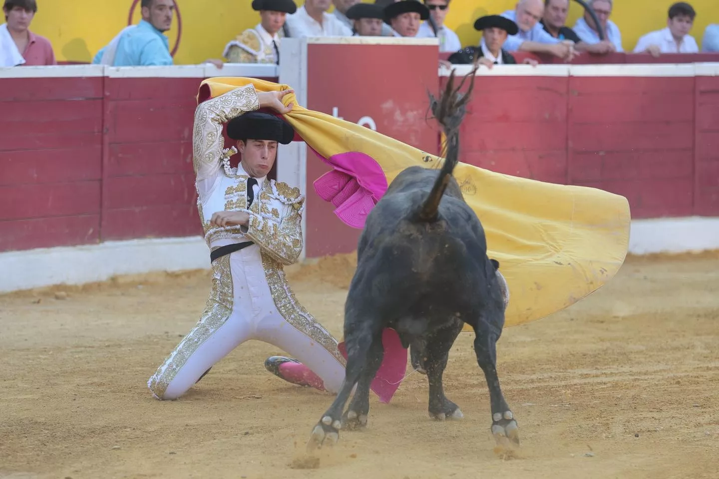 David Sejas. Foto: Tauroemoción.