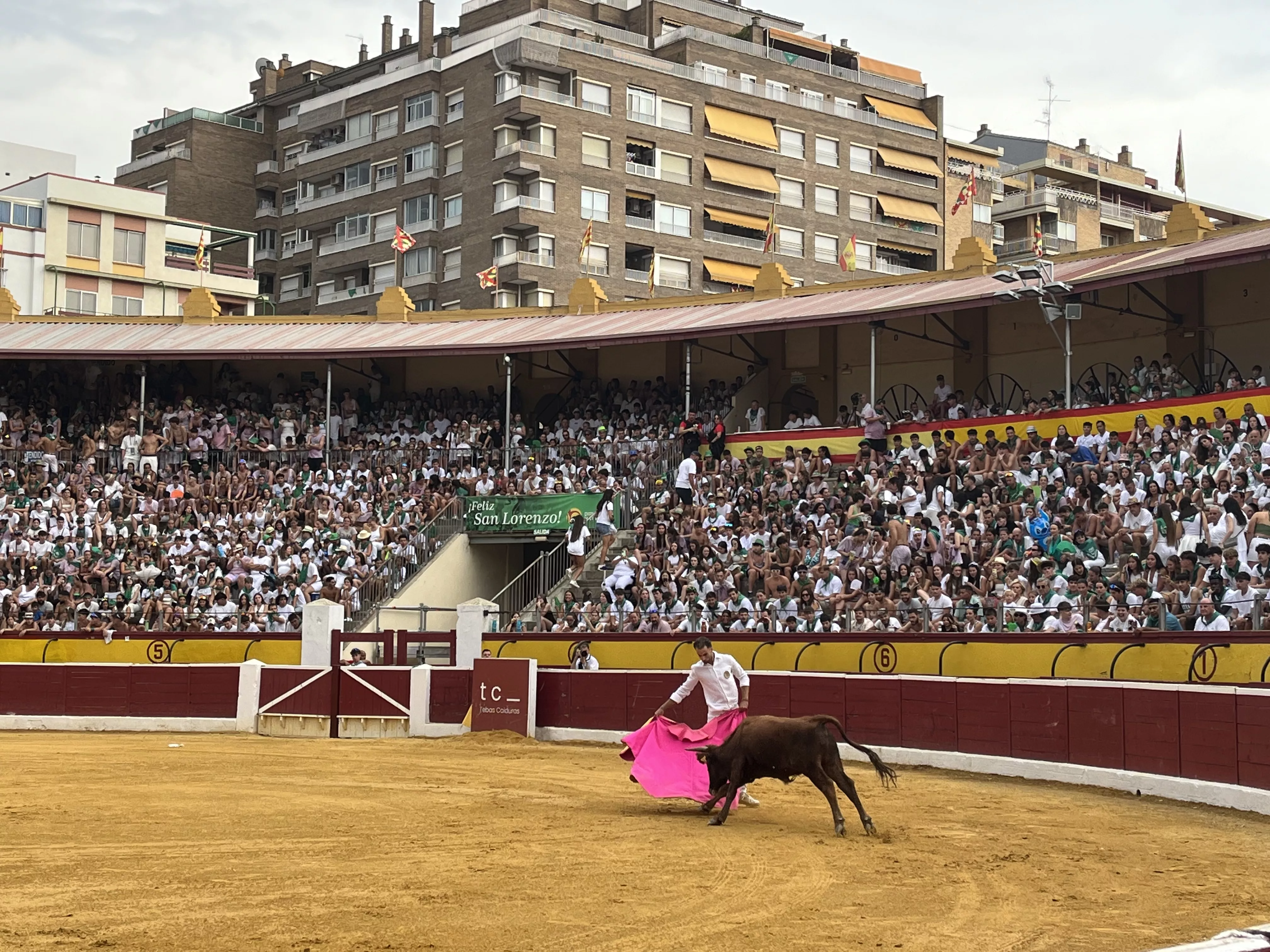Imágenes de la becerrada de las peñas 2025