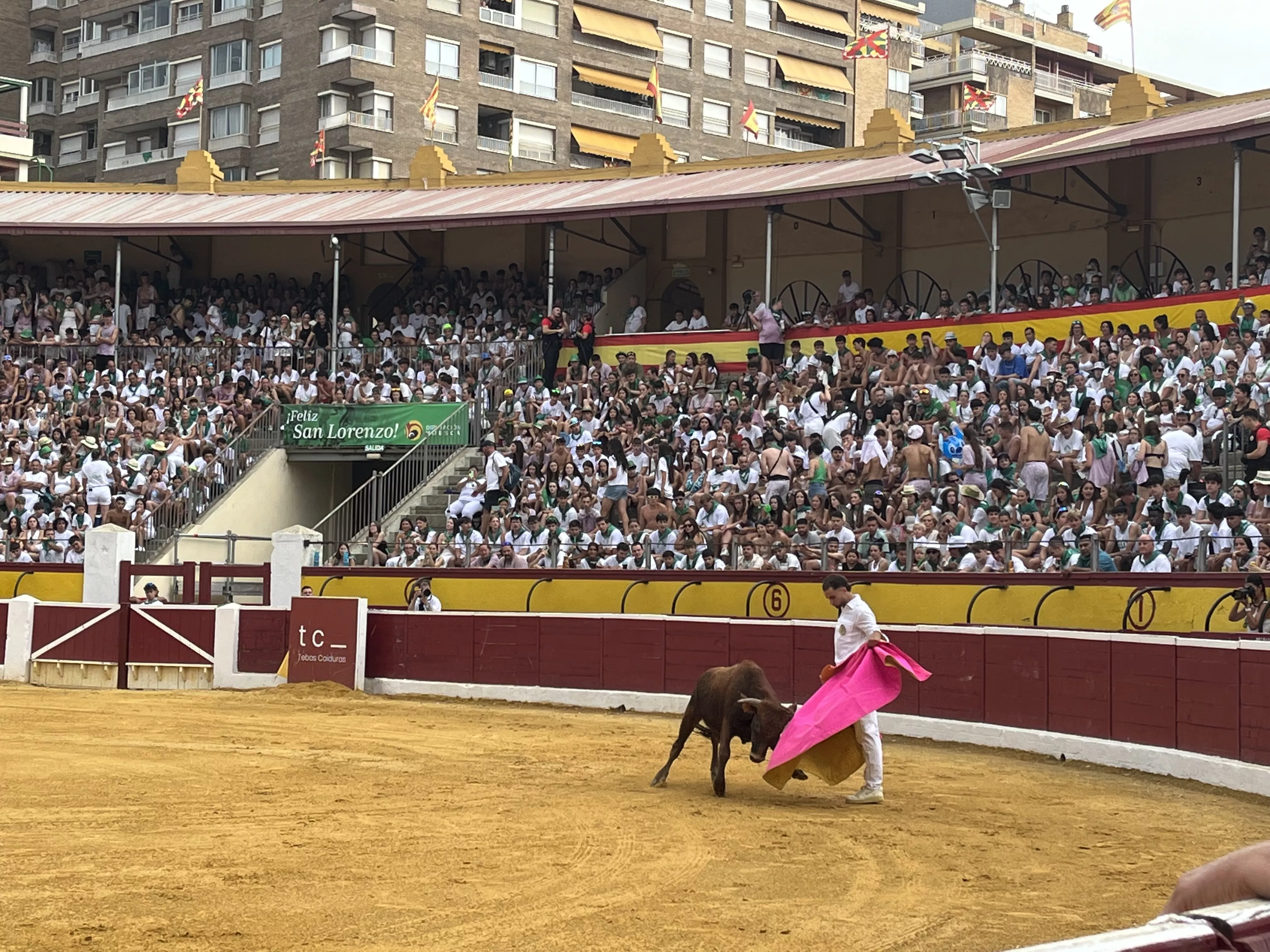 Imágenes de la becerrada de las peñas 2025