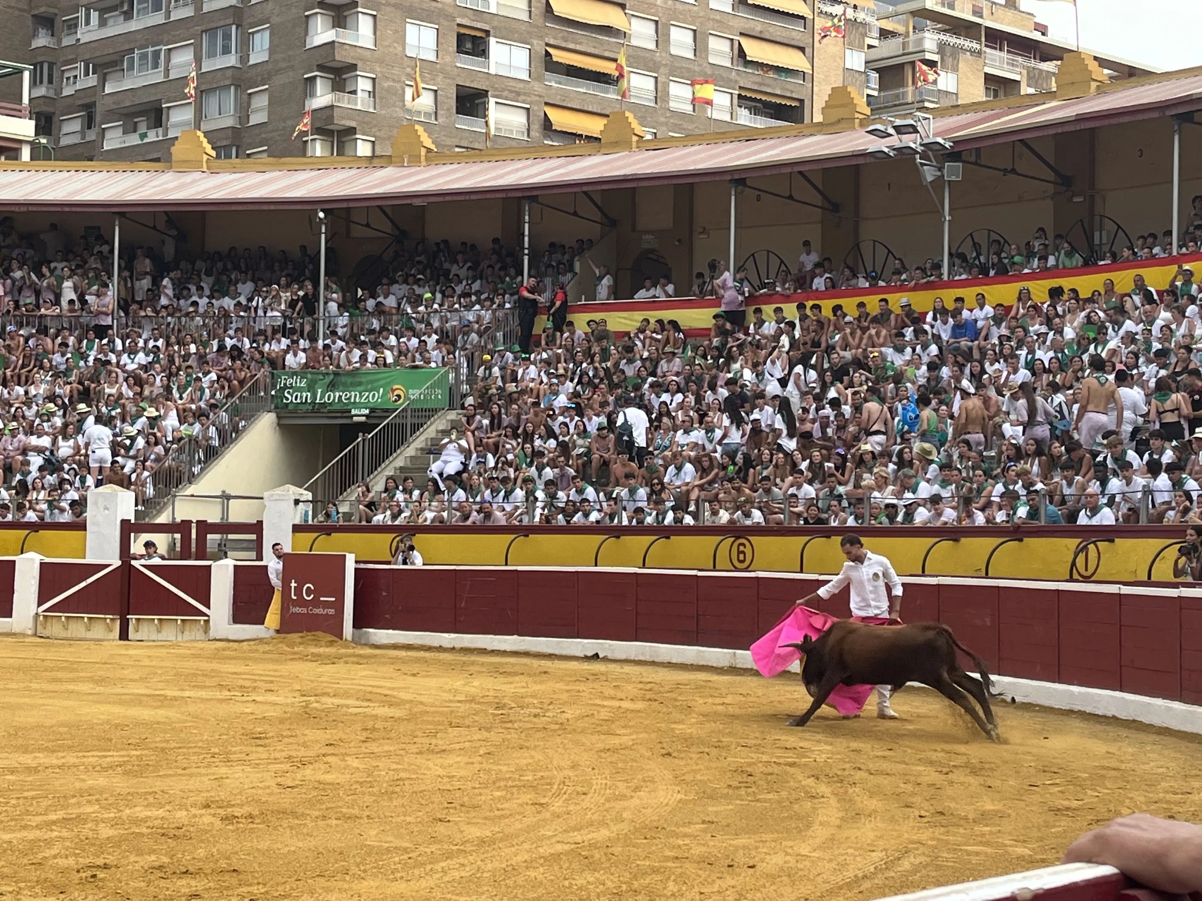 Imágenes de la becerrada de las peñas 2025