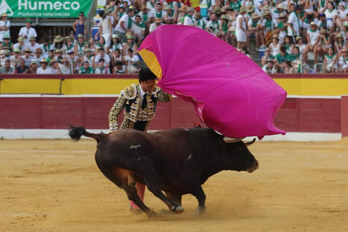 Primera corrida de la Feria 2025. Foto: Tauroemoción