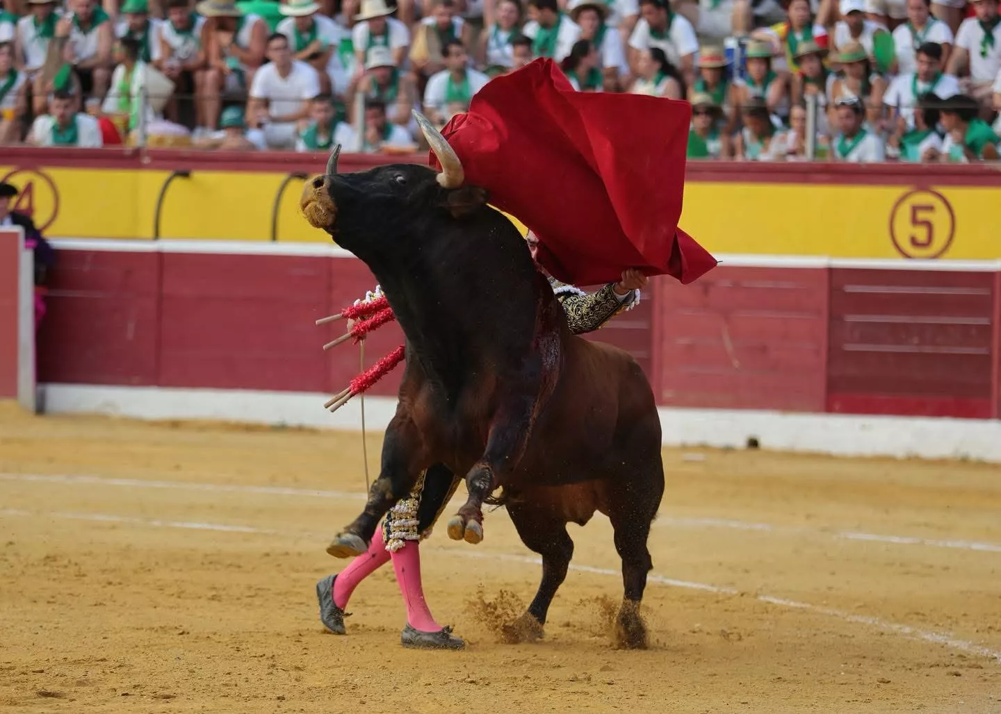 Primera corrida de la Feria 2025. Foto: Tauroemoción