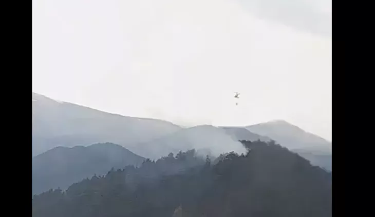 Incendio forestal en la Guarguera. Incendio forestal en la Guarguera.