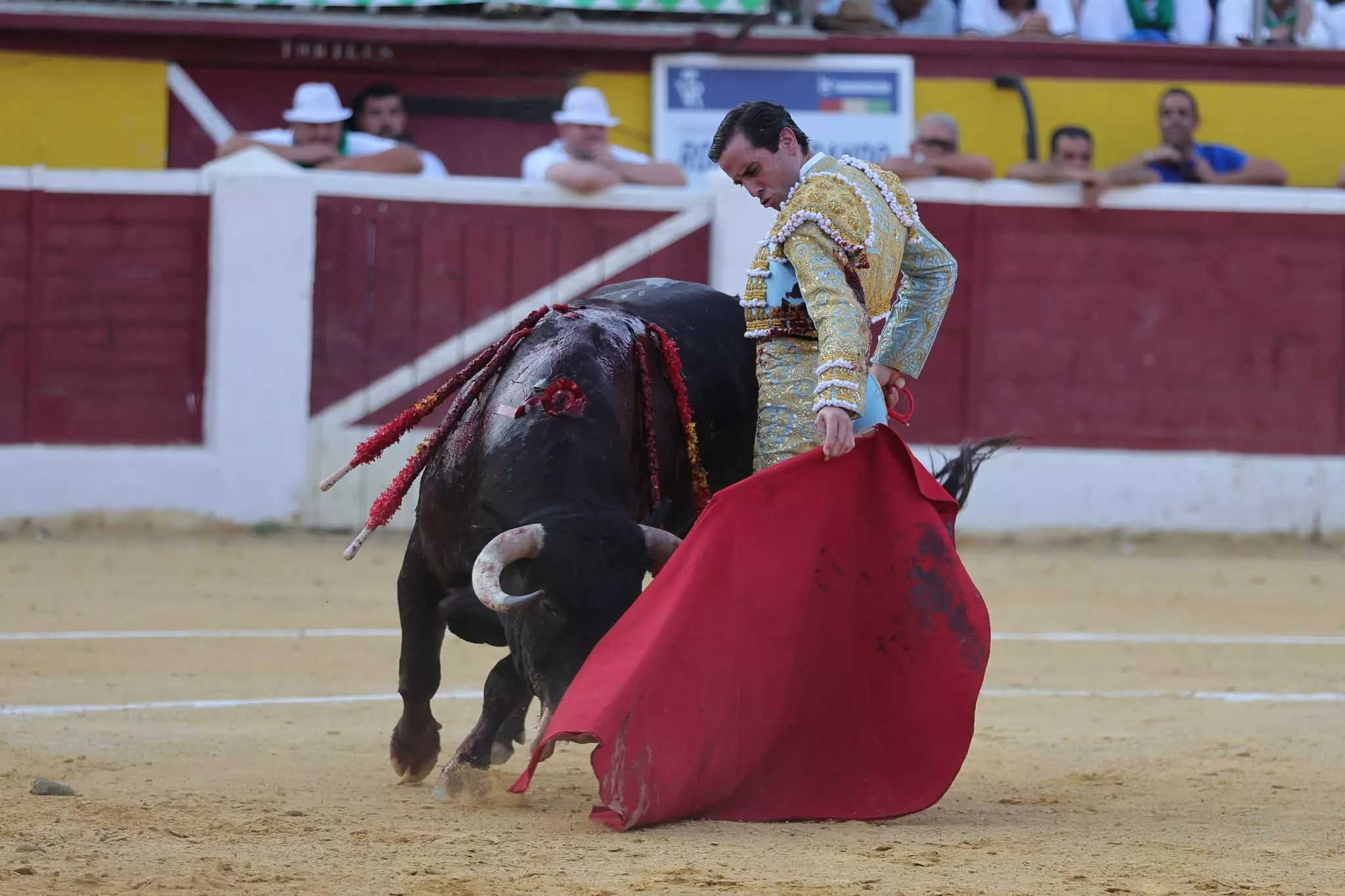 7EFB0C81 A77E 4668 9DC5 E149BA89837E