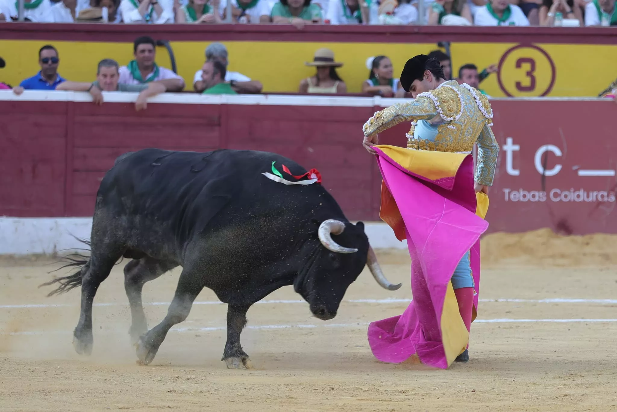 0E16EF3D 141B 4736 A835 954CD8373DA3