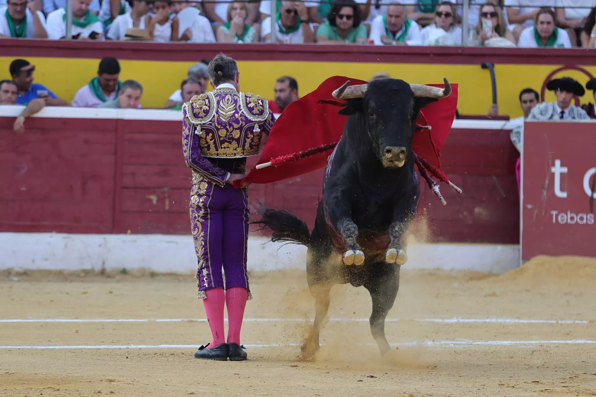 9AE6E663 49D9 418B 869E 0DBC5444FD22