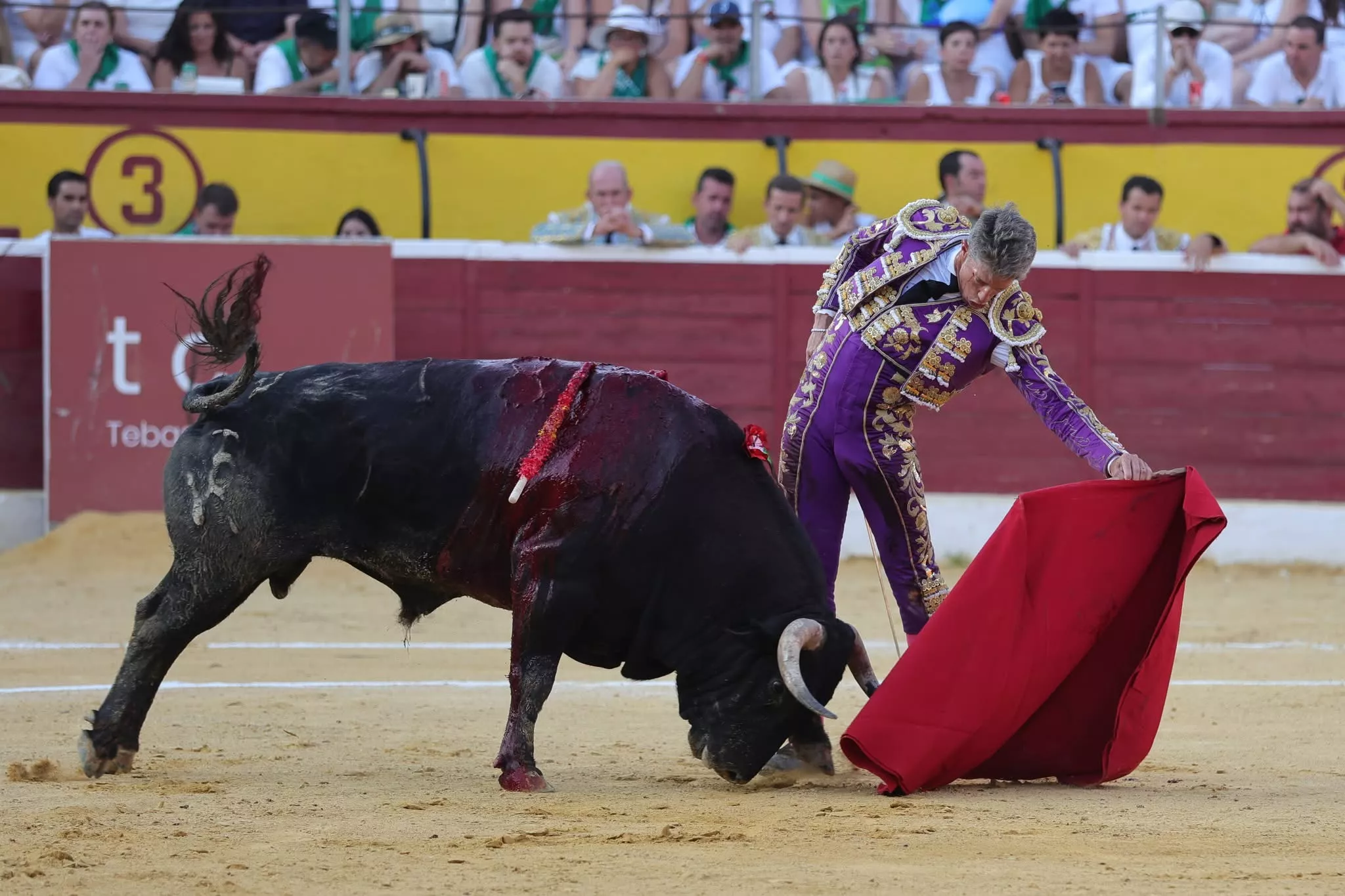 FFE363ED 9A34 4C14 9841 073704ECAE28