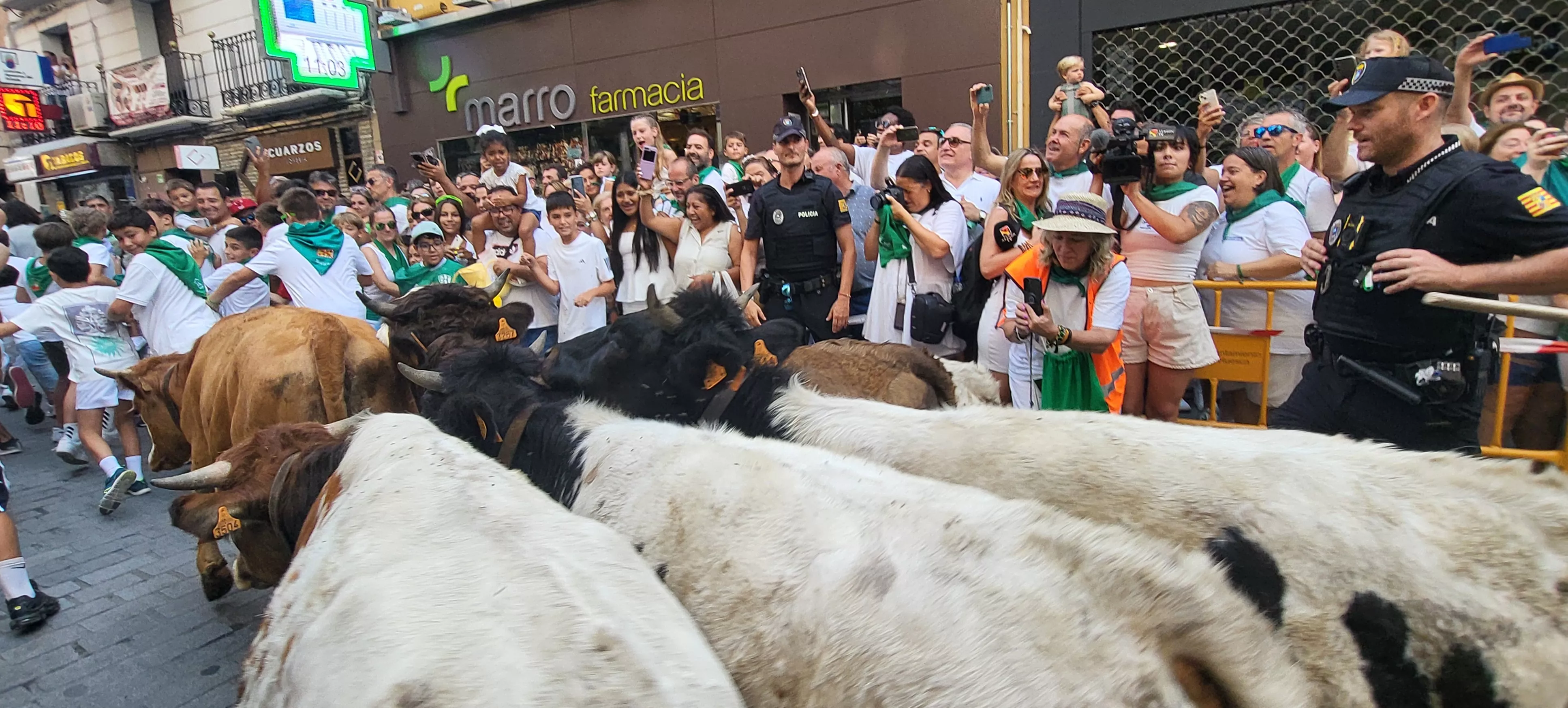 Encierro infantil con minibueyes en las fiestas de San Lorenzo. Foto Mercedes Manterola