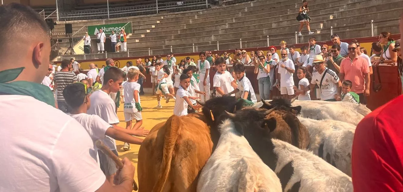 Encierro infantil con minibueyes en las fiestas de San Lorenzo. Foto Mercedes Manterola