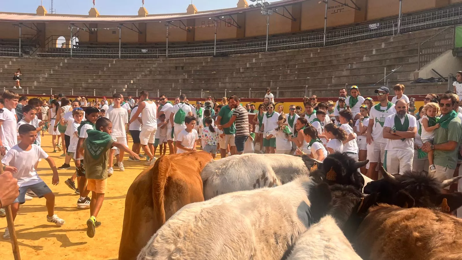 Encierro infantil con minibueyes en las fiestas de San Lorenzo. Foto Mercedes Manterola