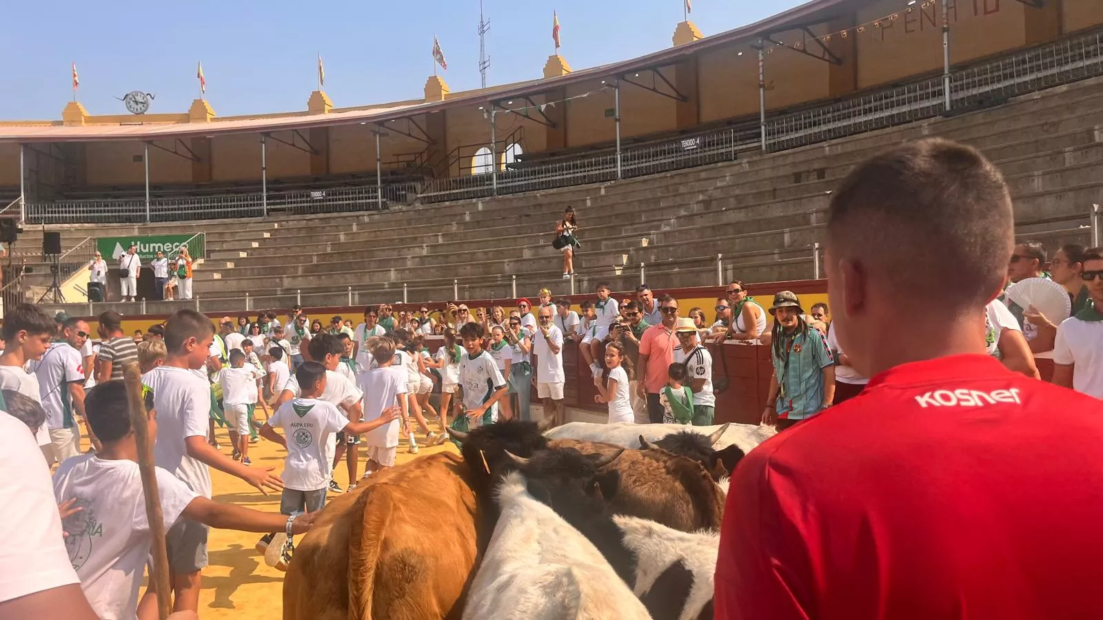 Encierro infantil con minibueyes en las fiestas de San Lorenzo. Foto Mercedes Manterola