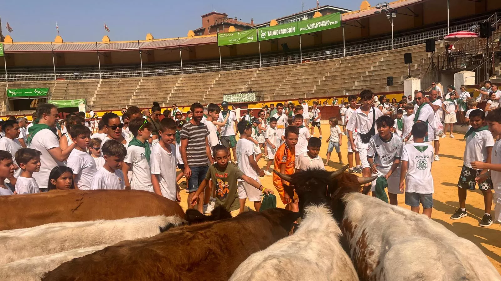 Encierro infantil con minibueyes en las fiestas de San Lorenzo. Foto Mercedes Manterola
