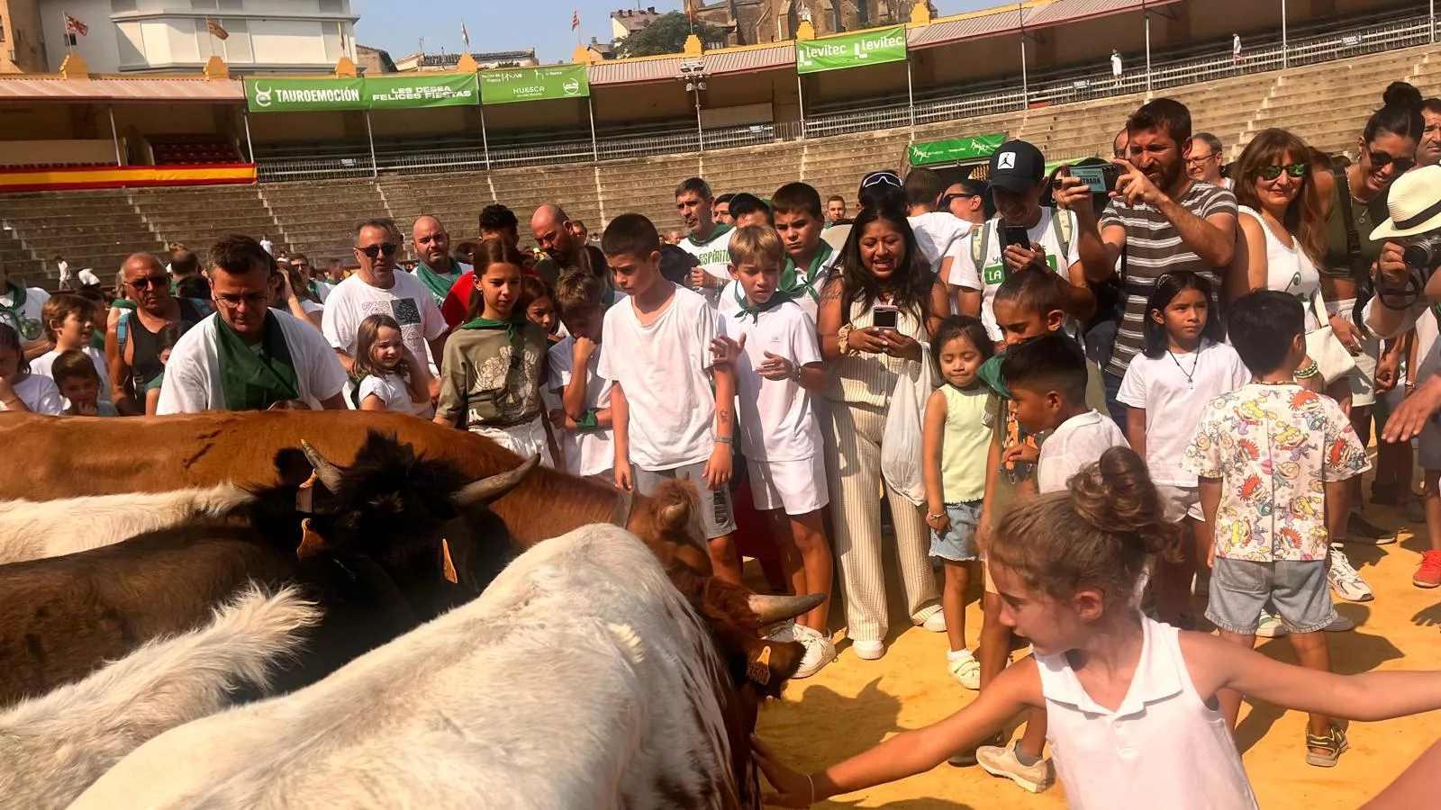 Encierro infantil con minibueyes en las fiestas de San Lorenzo. Foto Mercedes Manterola