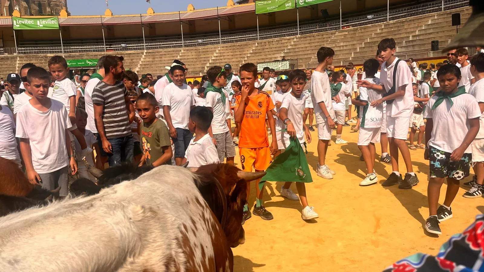 Encierro infantil con minibueyes en las fiestas de San Lorenzo. Foto Mercedes Manterola