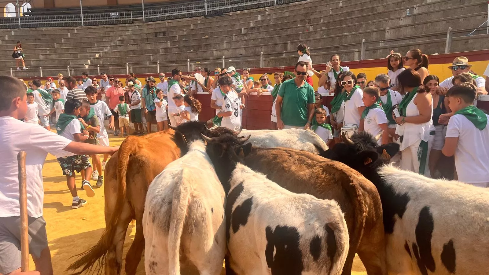 Encierro infantil con minibueyes en las fiestas de San Lorenzo. Foto Mercedes Manterola