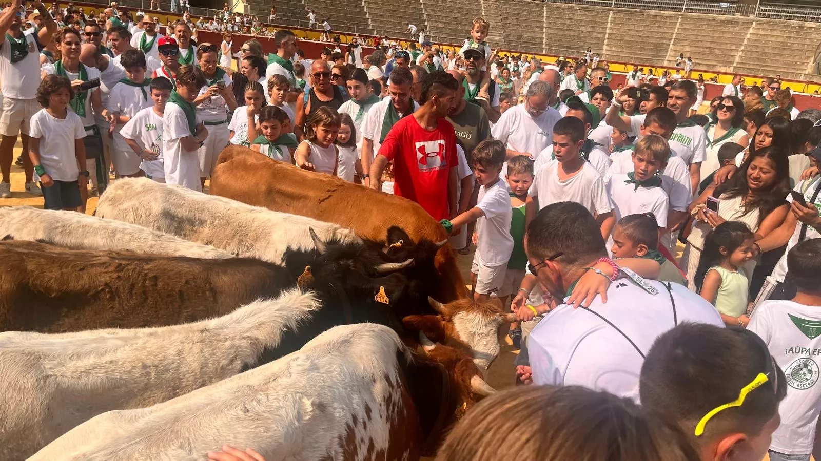 Encierro infantil con minibueyes en las fiestas de San Lorenzo. Foto Mercedes Manterola