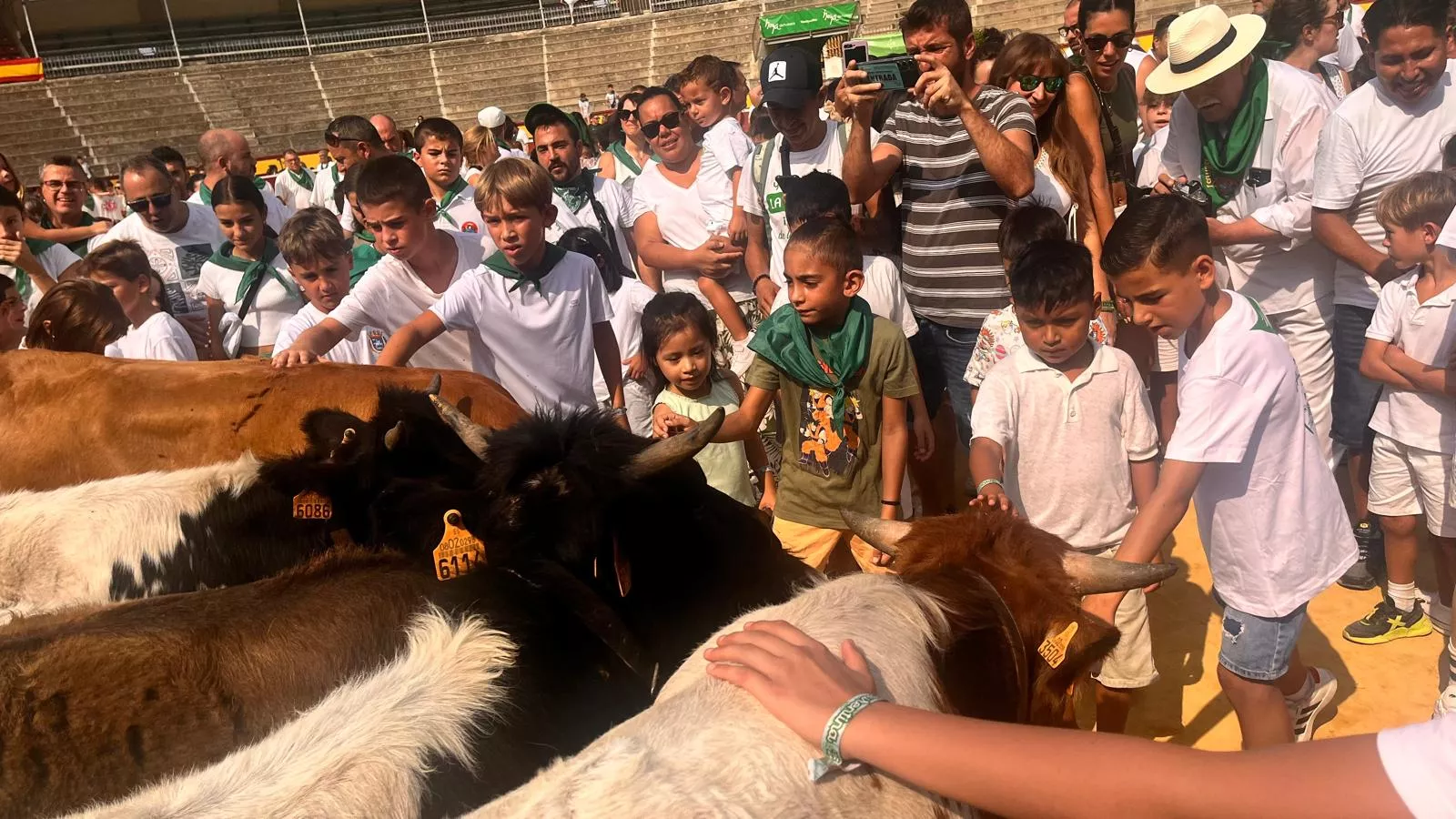 Encierro infantil con minibueyes en las fiestas de San Lorenzo. Foto Mercedes Manterola