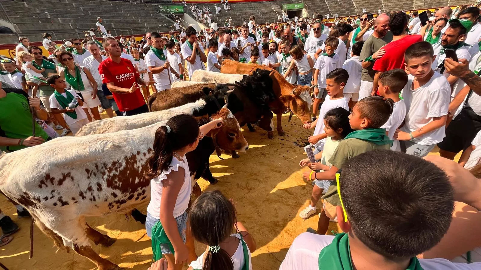 Encierro infantil con minibueyes en las fiestas de San Lorenzo. Foto Mercedes Manterola