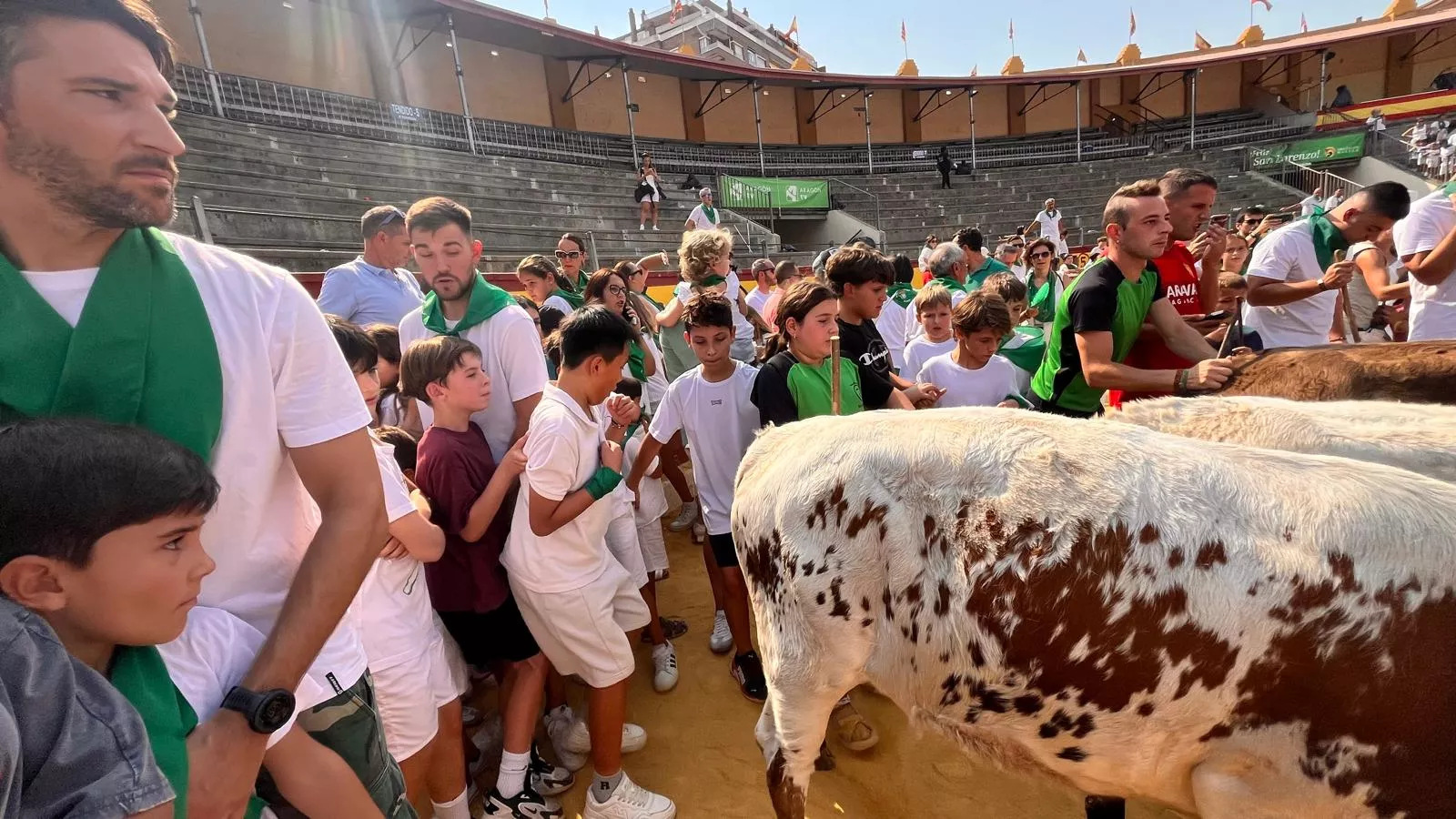 Encierro infantil con minibueyes en las fiestas de San Lorenzo. Foto Mercedes Manterola