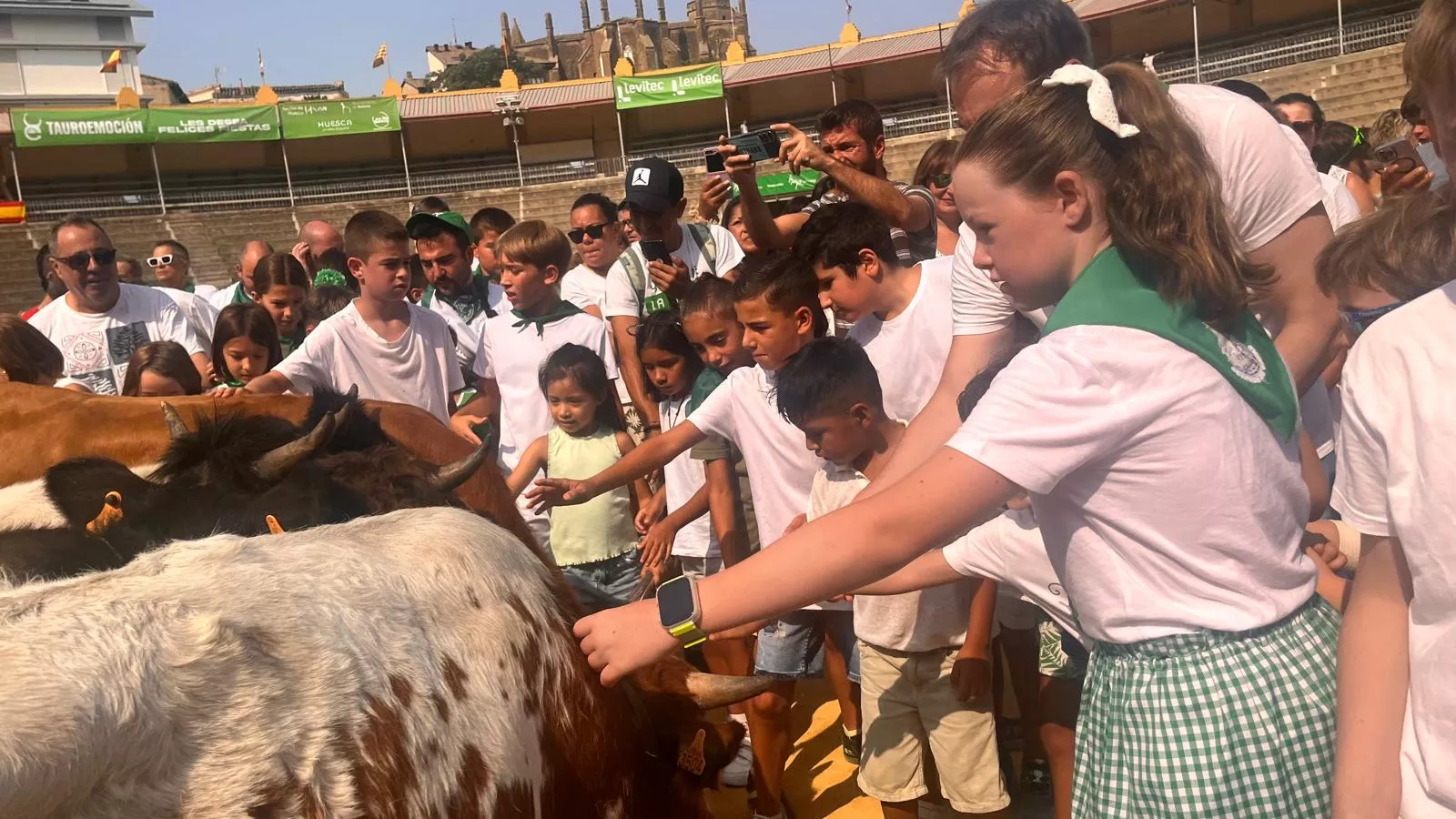 Encierro infantil con minibueyes en las fiestas de San Lorenzo. Foto Mercedes Manterola