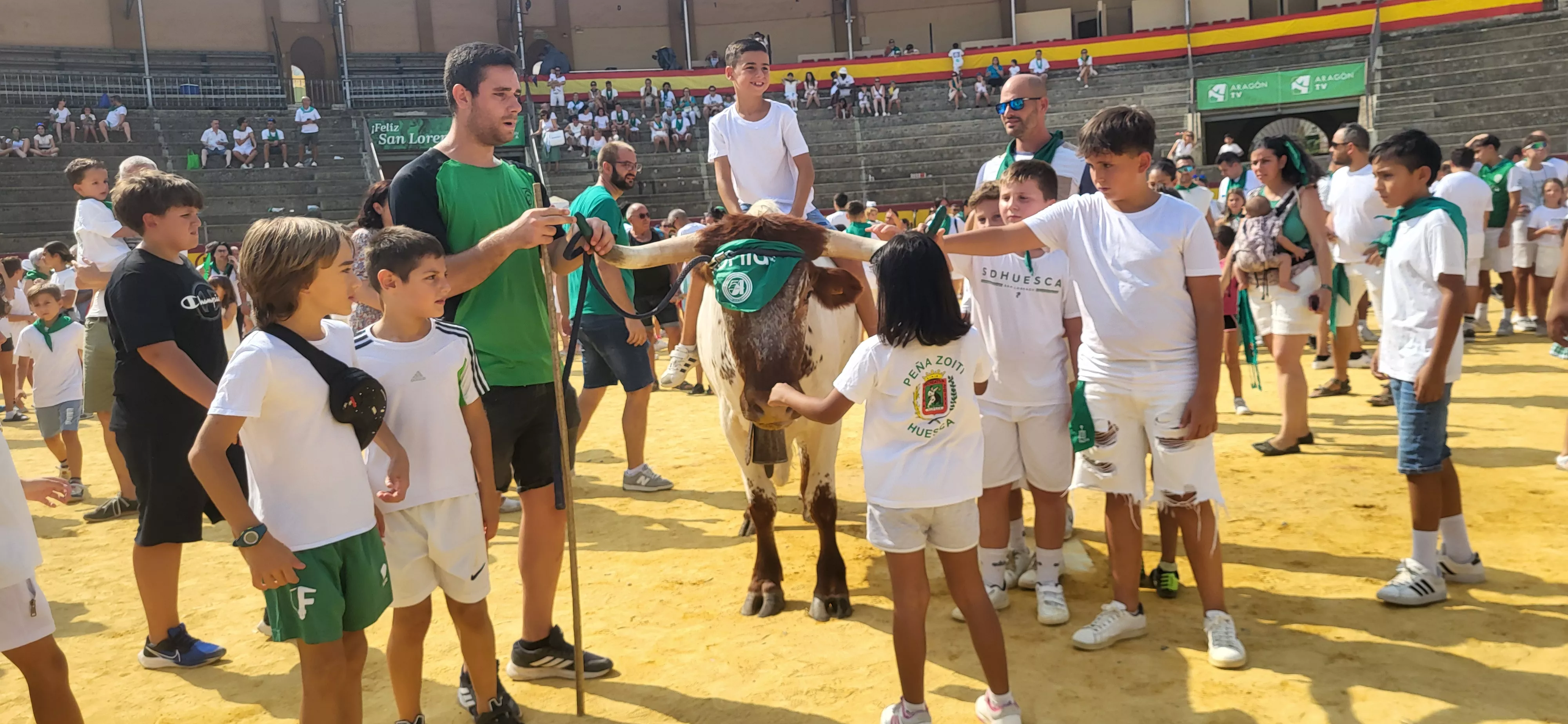 Encierro infantil con minibueyes en las fiestas de San Lorenzo. Foto Mercedes Manterola