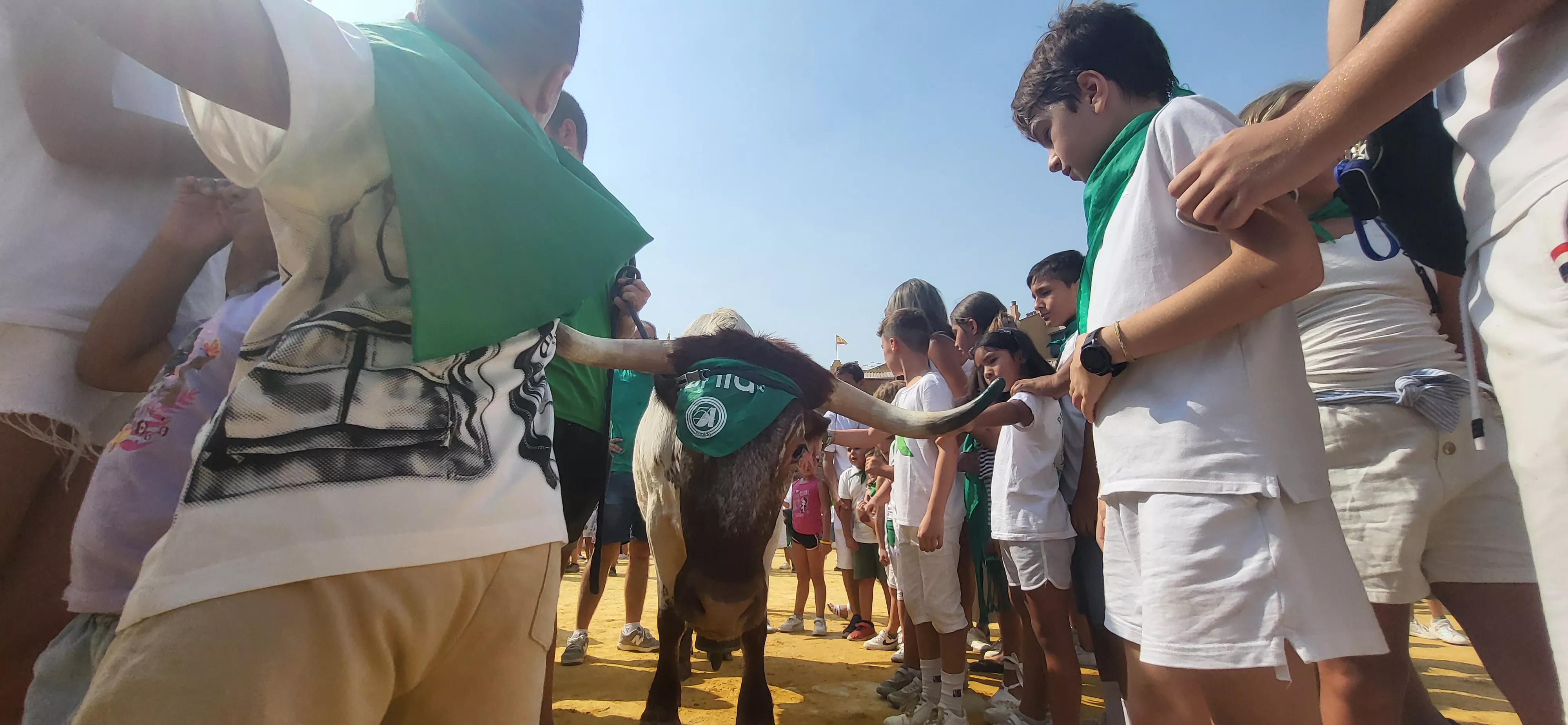 Encierro infantil con minibueyes en las fiestas de San Lorenzo. Foto Mercedes Manterola