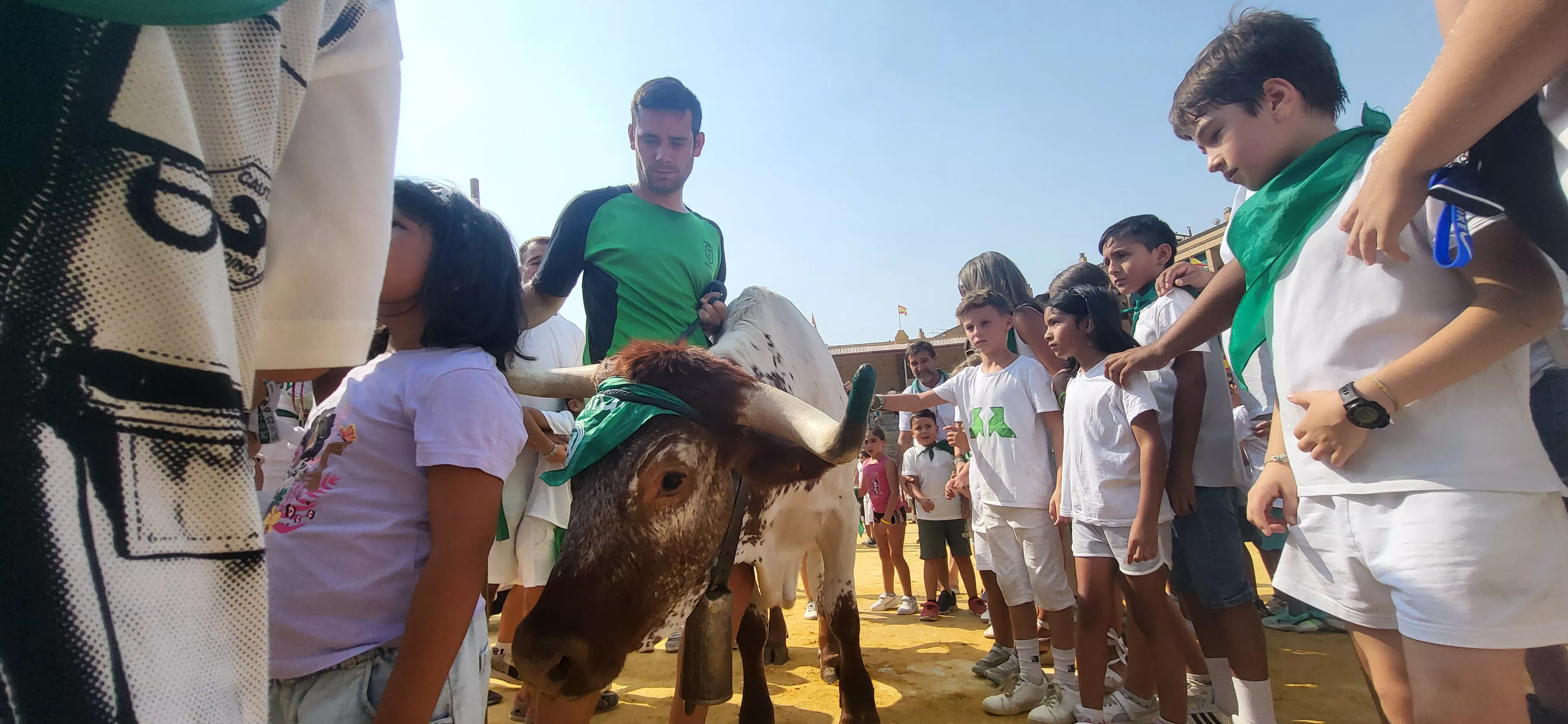 Encierro infantil con minibueyes en las fiestas de San Lorenzo. Foto Mercedes Manterola