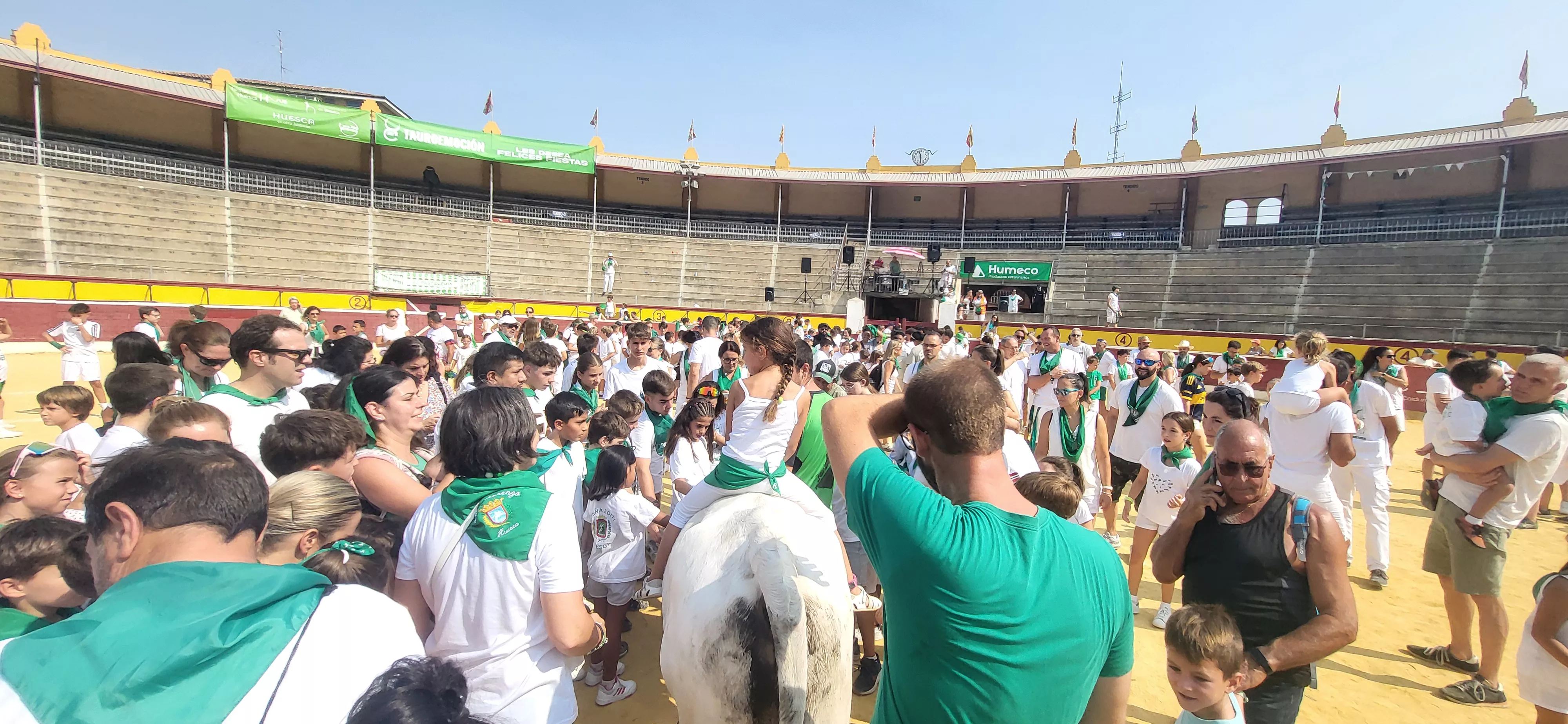 Encierro infantil con minibueyes en las fiestas de San Lorenzo. Foto Mercedes Manterola