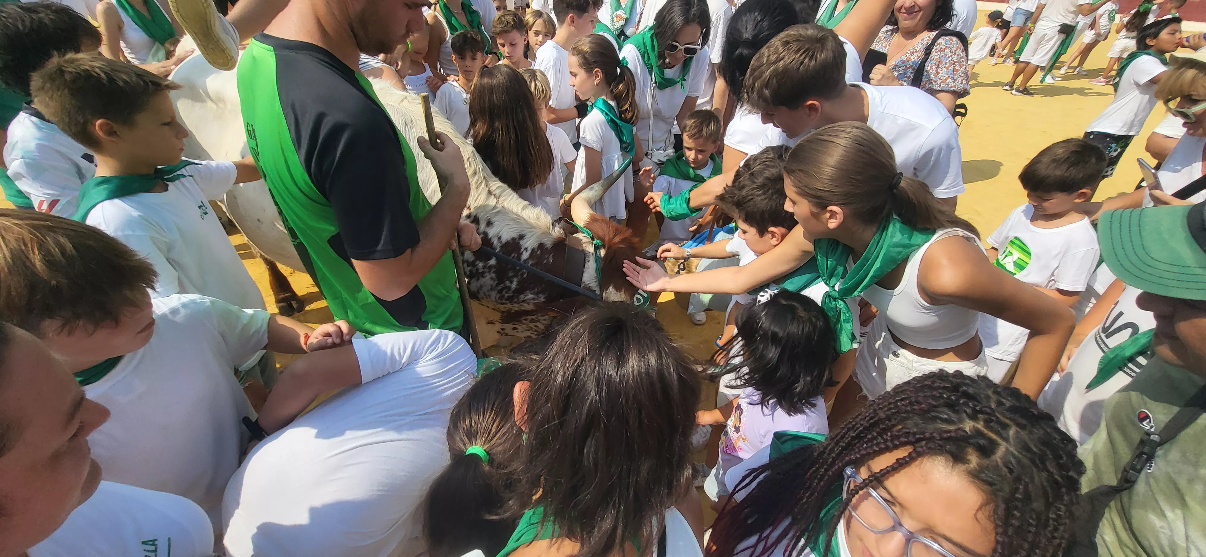 Encierro infantil con minibueyes en las fiestas de San Lorenzo. Foto Mercedes Manterola