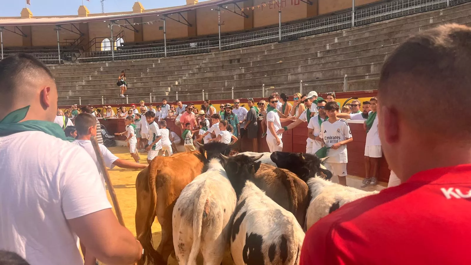 Encierro infantil con minibueyes en las fiestas de San Lorenzo. Foto Mercedes Manterola