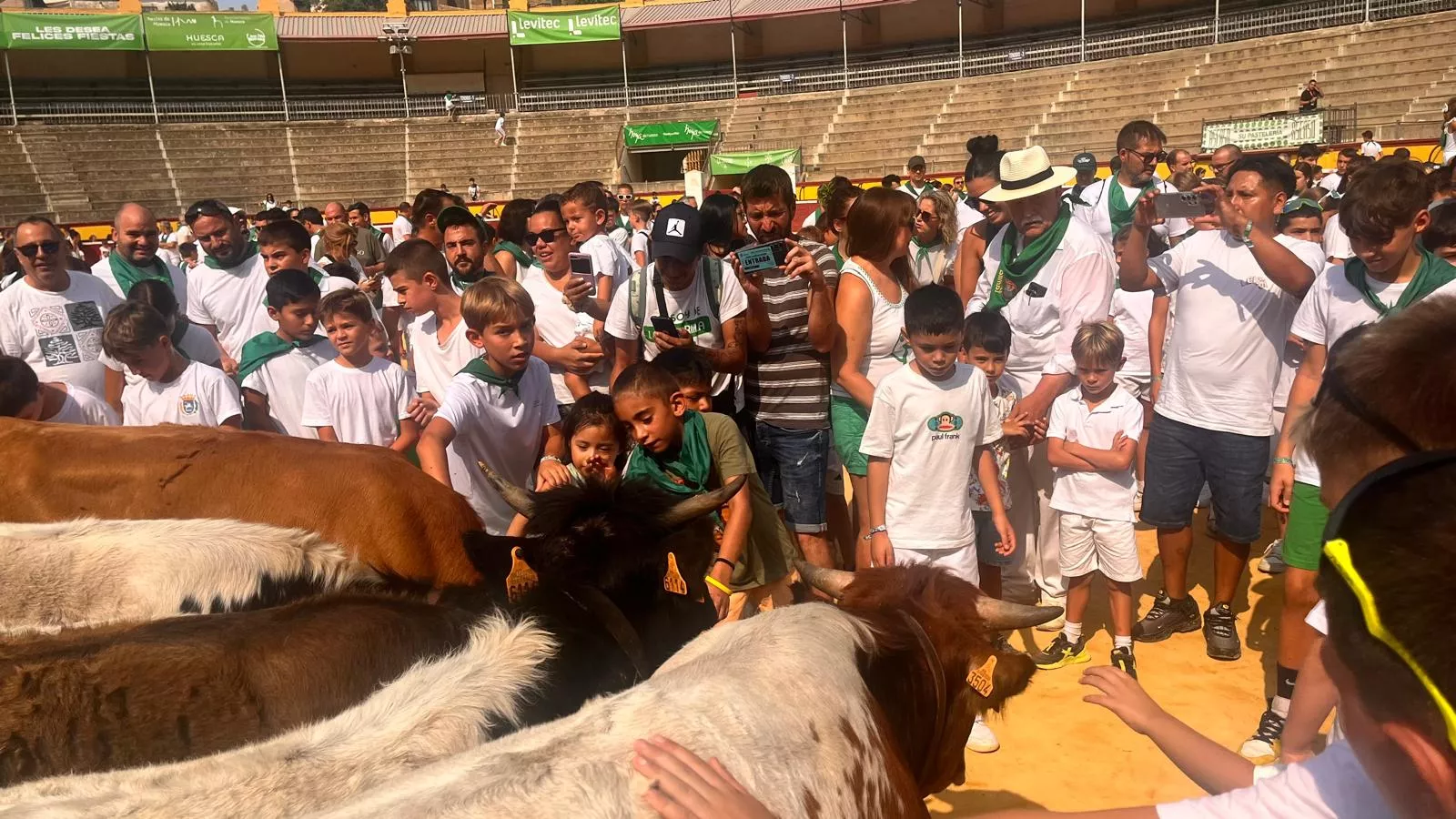Encierro infantil con minibueyes en las fiestas de San Lorenzo. Foto Mercedes Manterola