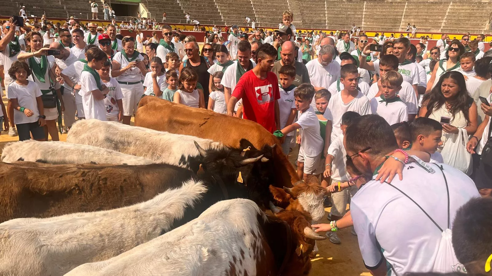 Encierro infantil con minibueyes en las fiestas de San Lorenzo. Foto Mercedes Manterola