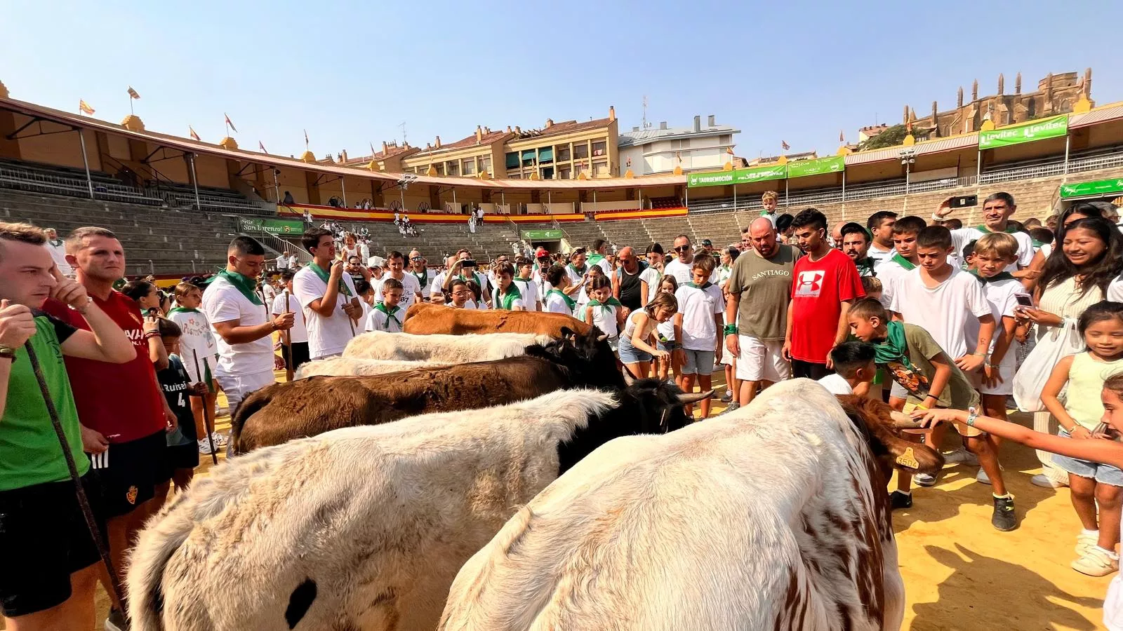 Encierro infantil con minibueyes en las fiestas de San Lorenzo. Foto Mercedes Manterola