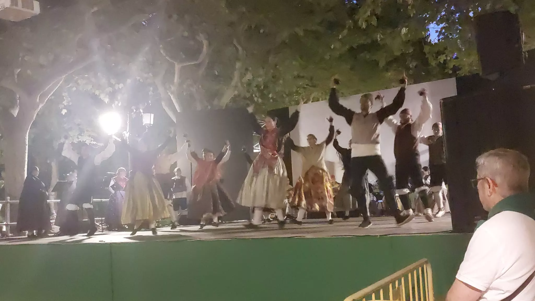 Estirpe de Aragonia en el Parque Miguel Servet en San Lorenzo