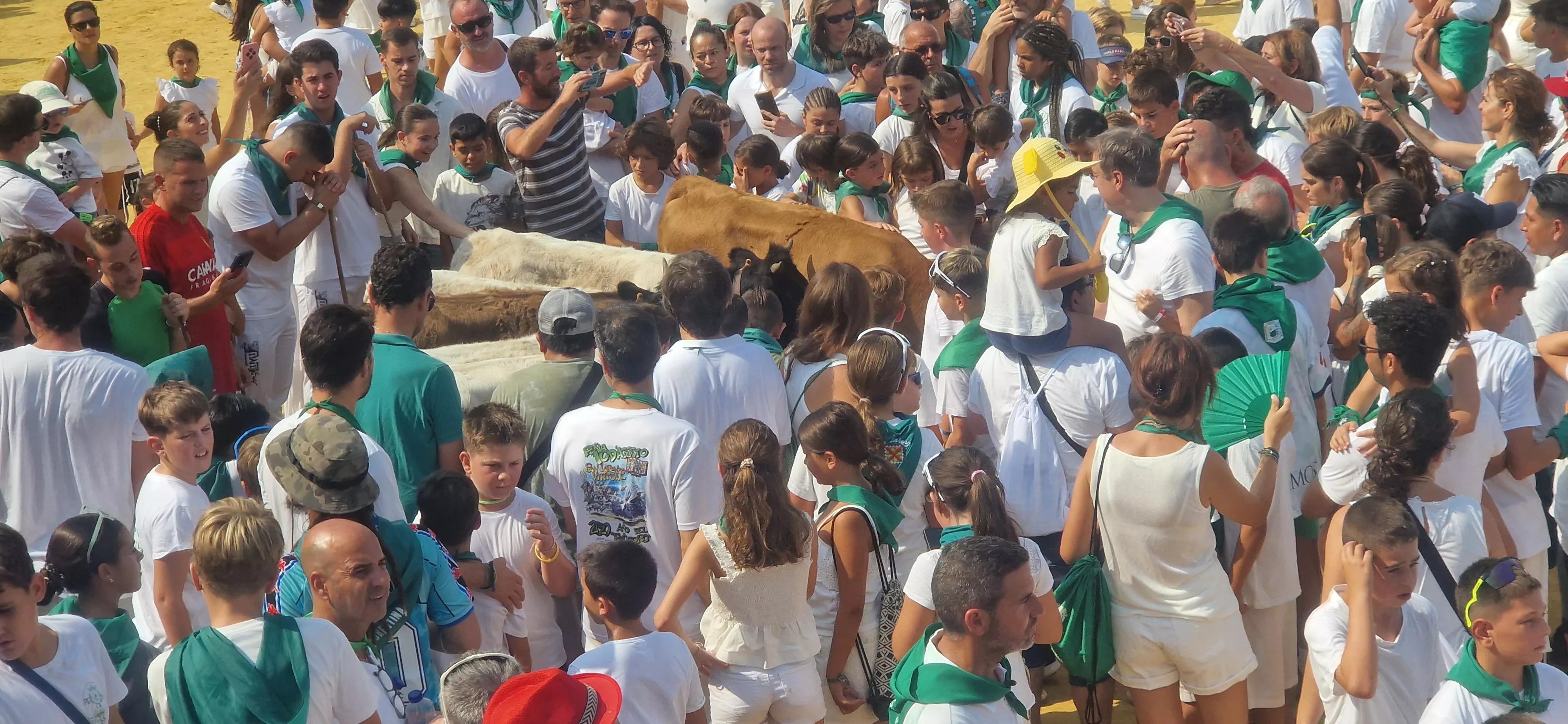 Encierro infantil con minibueyes en las fiestas de San Lorenzo. Foto Myriam Martínez