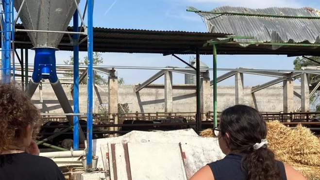 Destrozos en una granja Destrozos en una granja