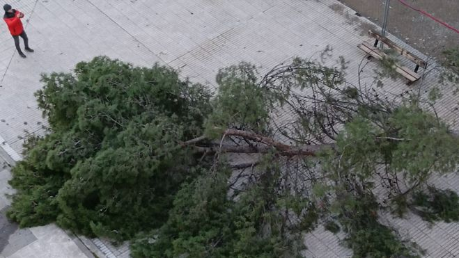 9e77ccec ff3d 47a6 ad66 35334d481a69 9e77ccec ff3d 47a6 ad66 35334d481a69