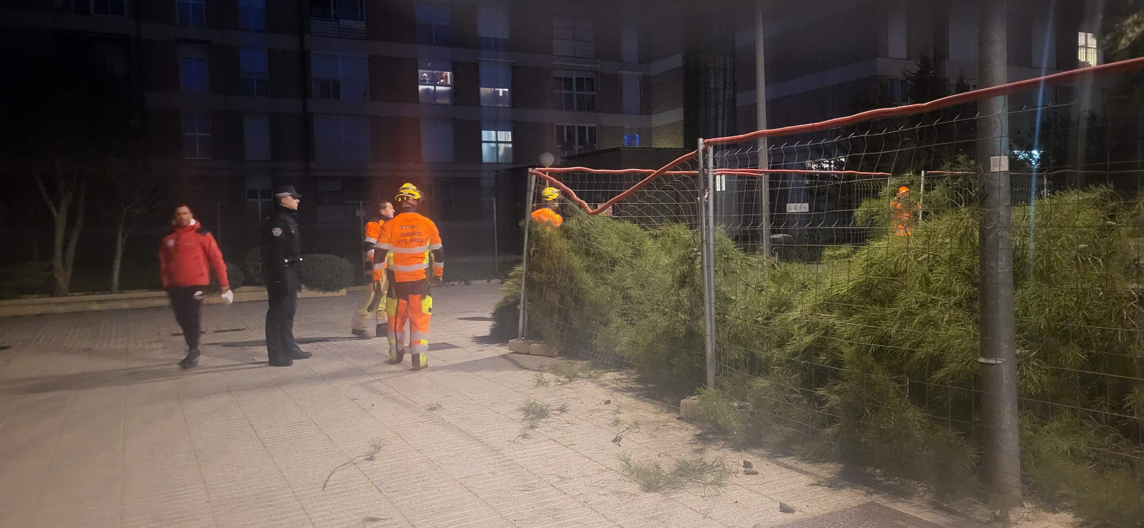 Imágenes de los pinos caídos este lunes en el Parque San Martín. Foto Myriam Martínez 