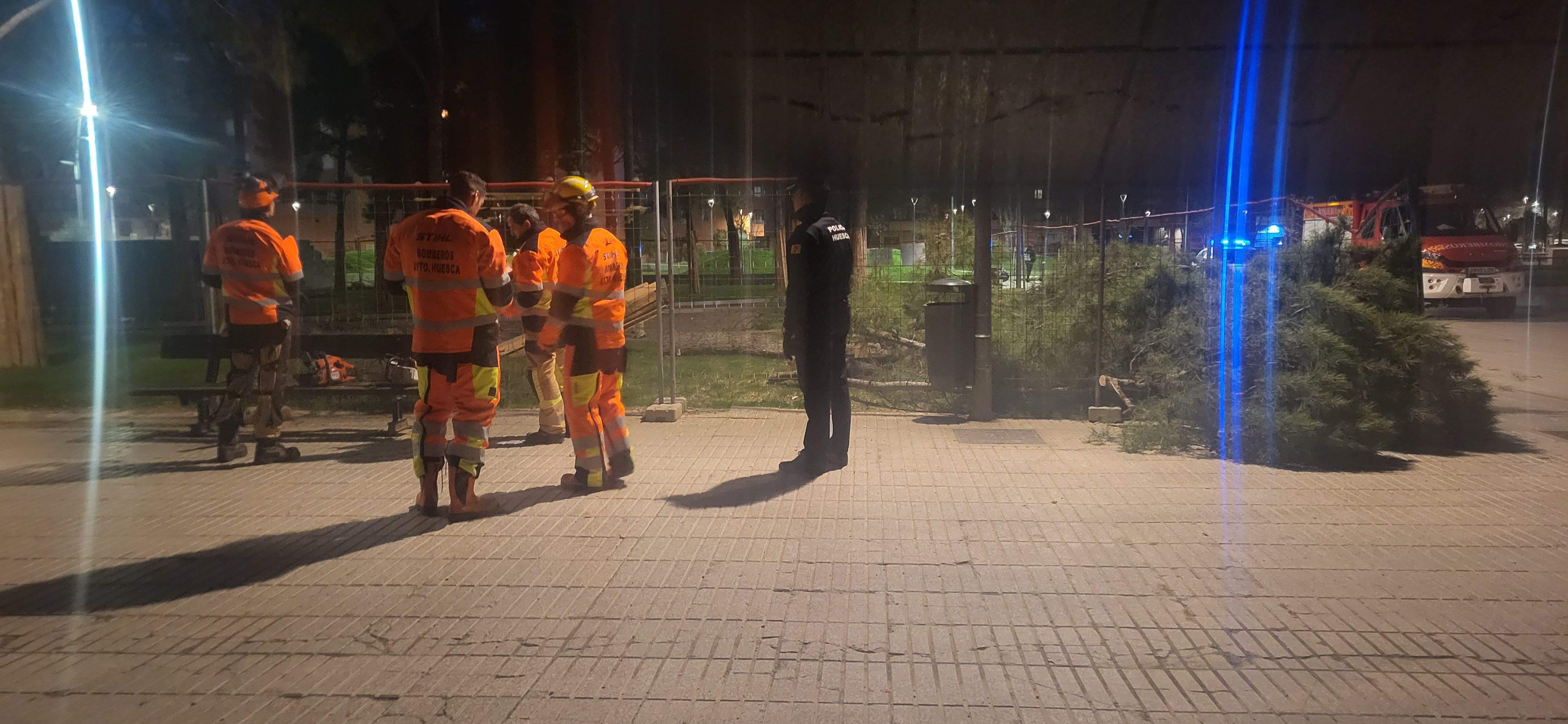 Imágenes de los pinos caídos este lunes en el Parque San Martín. Foto Myriam Martínez 